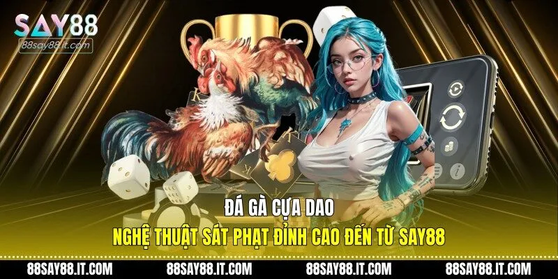 Đá gà cựa dao