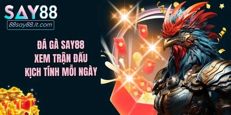 Đá gà - Hình thức giải trí quen thuộc