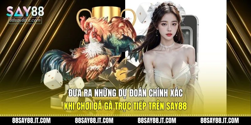 Đưa ra những dự đoán chính xác khi chơi đá gà trực tiếp trên Say88