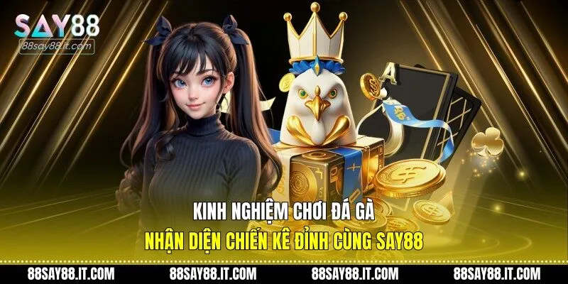 Kinh nghiệm chơi đá gà