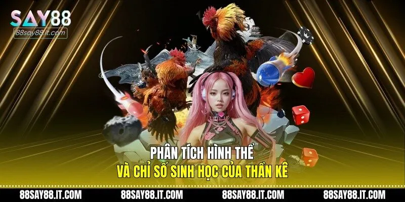 Phân tích hình thể và chỉ số sinh học của thần kê