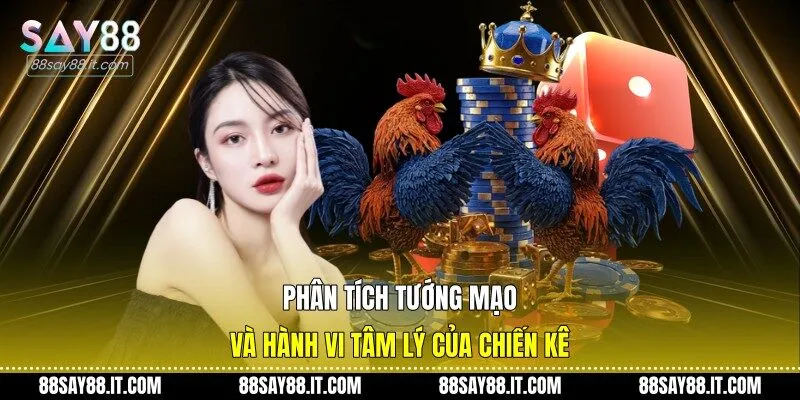 Phân tích tướng mạo và hành vi tâm lý của chiến kê