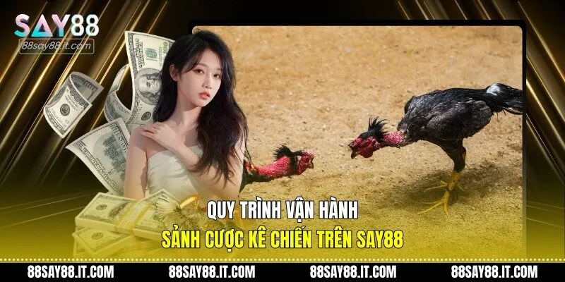 Quy trình vận hành sảnh cược kê chiến trên Say88