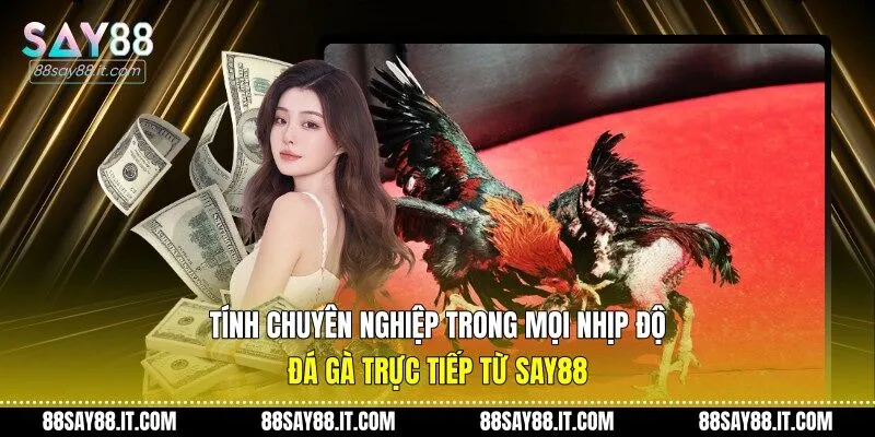 Tính chuyên nghiệp trong mọi nhịp độ đá gà trực tiếp từ Say88